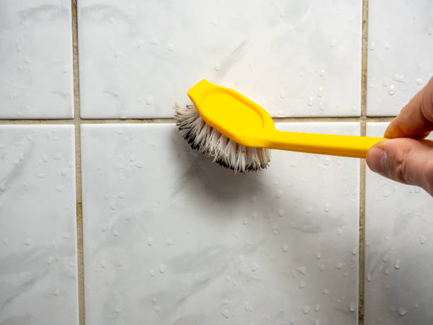 Best Preventive Mold Services in Greenfield, OH