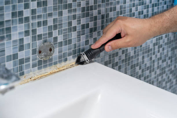 Best Localized Mold Remediation (e.g., coastal areas, humid climates) in Greenfield, OH