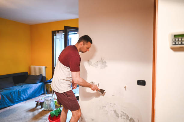 Best Post-Flood Mold Remediation in Greenfield, OH